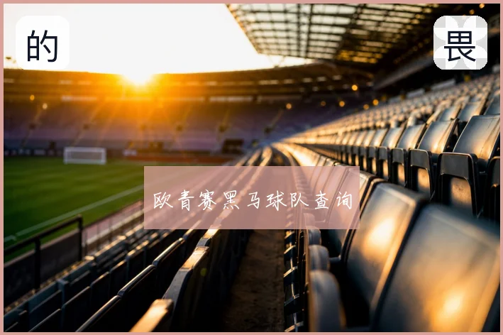欧青赛黑马球队查询