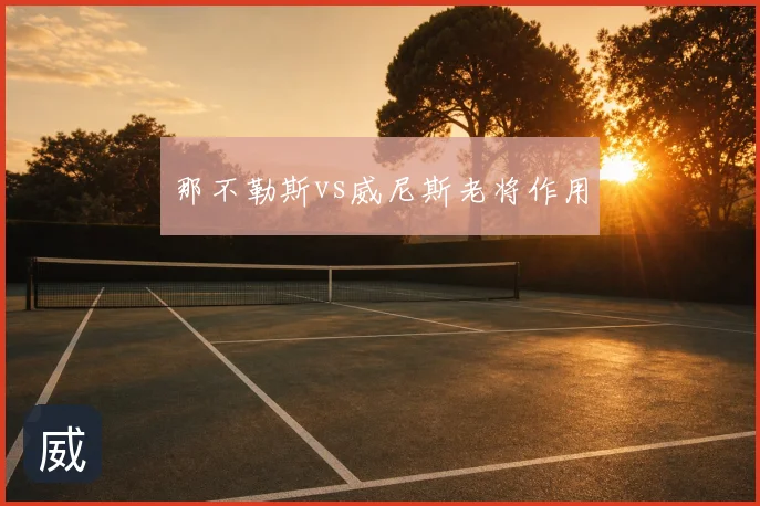 那不勒斯vs威尼斯老将作用